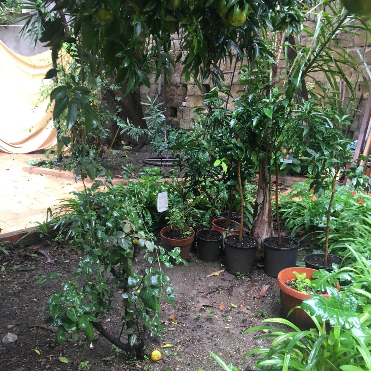 Il Giardino Di Daphne Acomodação com café da manhã Nápoles Exterior foto